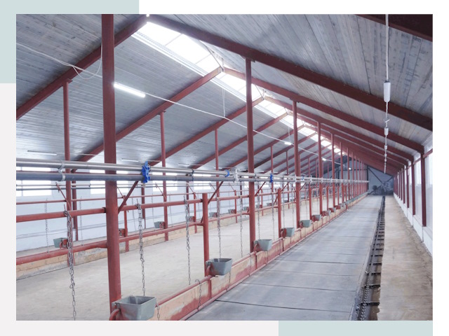 Строительство коровников в Лесосибирске от 625 руб.