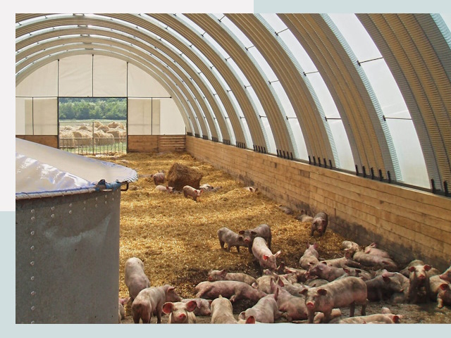 Строительство свинарников в Лесосибирске