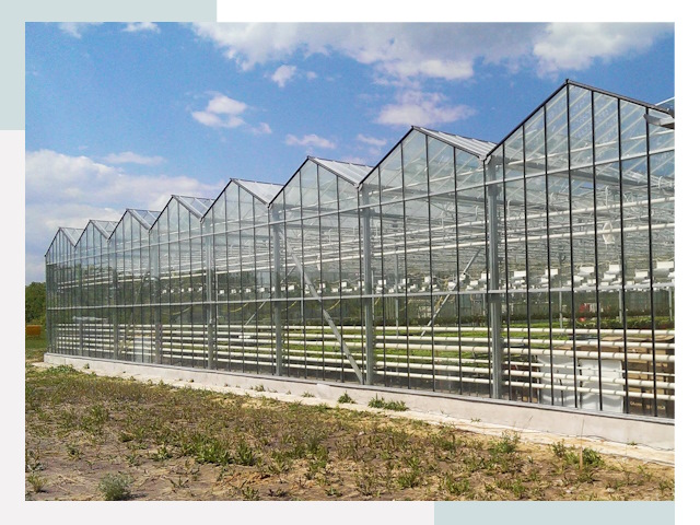 Строительство теплиц в Лесосибирск от 625 руб. за м²